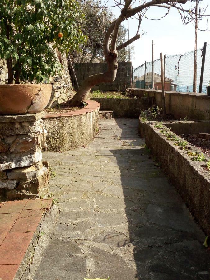 Apartmán Casa Picasso Janov Exteriér fotografie