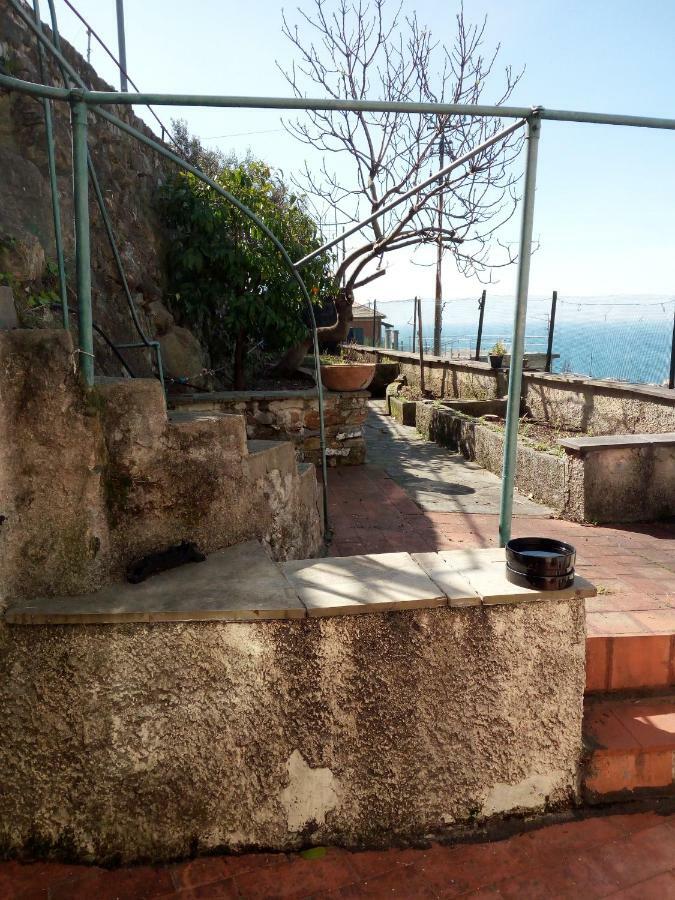 Apartmán Casa Picasso Janov Exteriér fotografie