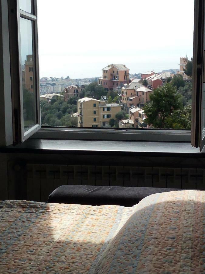 Apartmán Casa Picasso Janov Exteriér fotografie